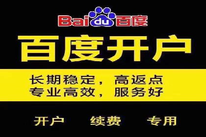 案例分析：SEM竞价代运营实现盈利增长